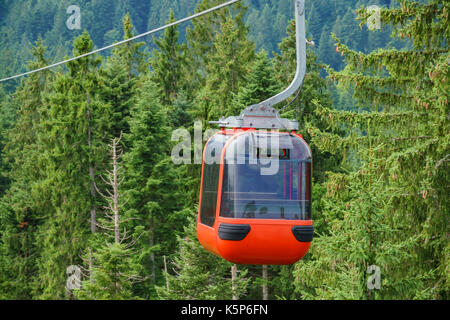 Un superbo scenario, vista dalla funicolare del Monte Pilatus in luzern, Svizzera Foto Stock