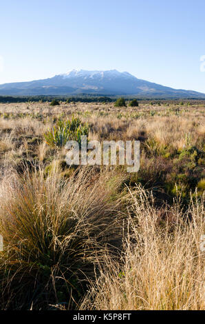 Il Monte Ruapehu, Tongariro National Park, North Island, Nuova Zelanda Foto Stock