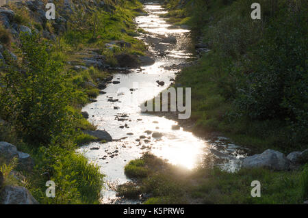 In tarda serata i raggi di sole che riflette in un torrente Foto Stock