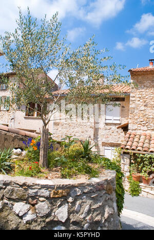 Villaggio di Tourtour in riviera (Francia) Foto Stock