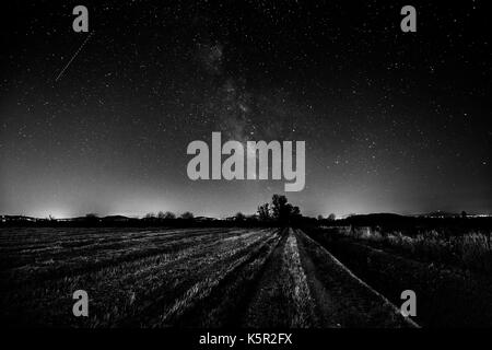 Bellissima vista della via lattea su un campo coltivato e alberi lontani Foto Stock