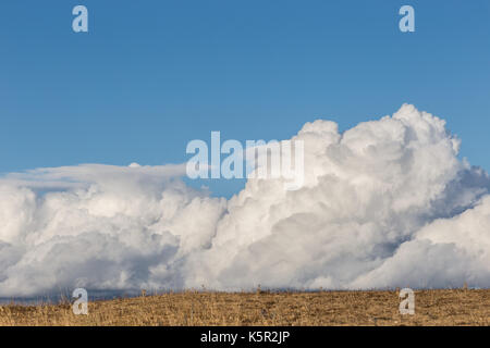Grande e apparentemente vicino nuvole sopra un prato Foto Stock