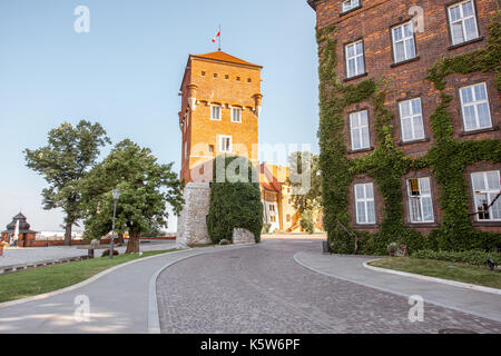 Il castello di Wawel Hill a Cracovia Foto Stock