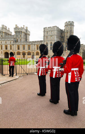 I soldati dell'Esercito britannico / Windsor Castle Guard ( 7 Società guardie Coldstream ) indossando il tradizionale rosso uniforme e Bearskin hat / Bearskins. (90) Foto Stock