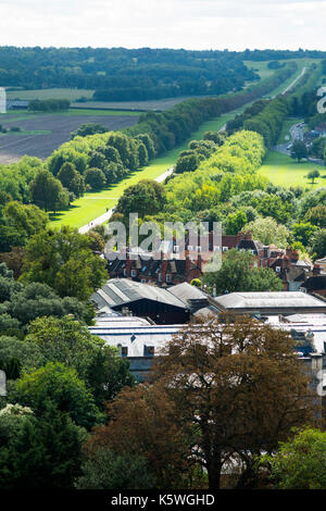 Elevata / vista aerea della lunga passeggiata che conduce lontano dal Castello di Windsor a cavallo di rame statua di George III a cavallo. Windsor Great Park. Regno Unito. Foto Stock