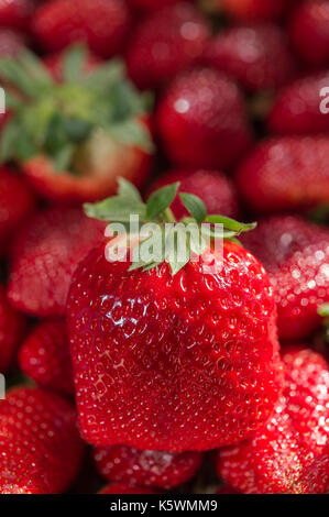 Fraise Marsiglia Francia Foto Stock