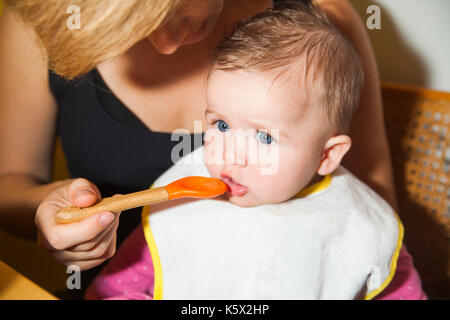 Madre di una alimentazione di 6 mesi di età bambino con un cucchiaio per la prima volta Foto Stock