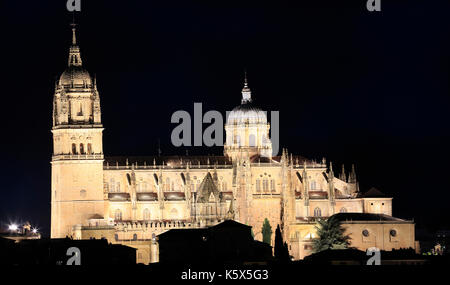 Salamanca vecchie e nuove cattedrali illuminata di notte, Spagna Foto Stock