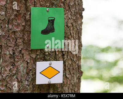 Percorso a piedi firmare in un albero in Germania - Schwarzwald Foto Stock