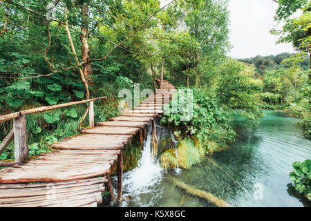 Bella cascata in estate foresta verde. Foto Stock