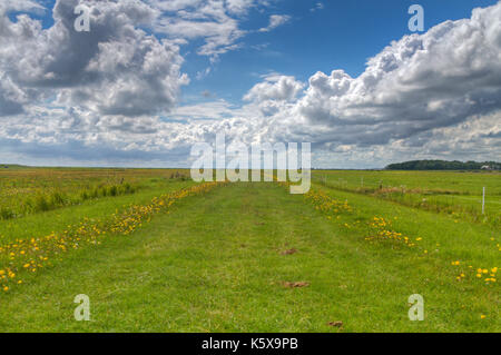 Lungo il percorso rettilineo attraverso prati olandese Foto Stock