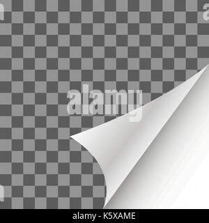 Carta arricciatura pagina con ombra Illustrazione Vettoriale