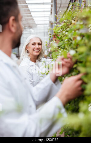 Ritratto di felice donna matura giardiniere guardando il suo collega di sesso maschile nei pressi di piante in serra Foto Stock