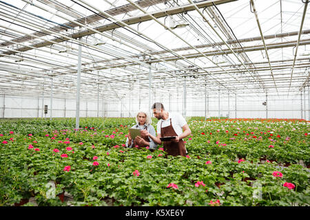 Paio di seri lavoratori maturi in grembiuli in piedi in giardino nei pressi di fiori e di parlare Foto Stock