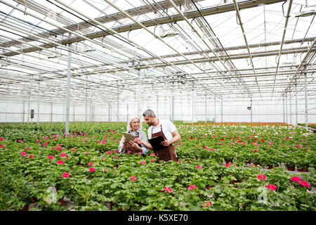 Paio di allegro lavoratori maturi in grembiuli in piedi in giardino nei pressi di fiori e di parlare Foto Stock