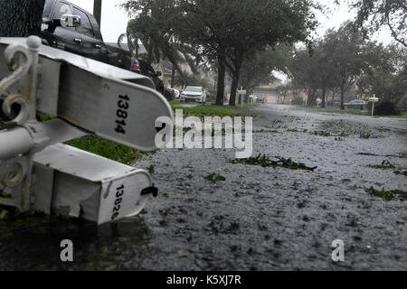 Miramar, fl, Stati Uniti d'America. Decimo Sep, 2017. forte vento e pioggia dall uragano irma abbattere alberi, rami e caselle di posta a monarch laghi in occidente miramar intorno a 3pm domenica pomeriggio. come l'uragano ha spostato a nord fino la costa del golfo del Messico, ha portato atmosferici violenti a sud della Florida. un rapido spostamento temporale ha portato al tornado avvertenze di Broward e palm beach contee, a 109 mph raffica hit pembroke pines, una seconda gru crollata nel centro cittadino di Miami e di un potente mareggiata inviato di acqua oceanica affluiscono in miamiã¢â'¬â"¢s Brickell Avenue domenica credito: sun-sentinel/zuma filo/alamy live news Foto Stock