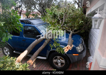 Miramar, fl, Stati Uniti d'America. Decimo Sep, 2017. un albero atterrato su vetture a una casa nei vigneti monarch laghi dal potente vento e pioggia dall uragano irma domenica credito: sun-sentinel/zuma filo/alamy live news Foto Stock