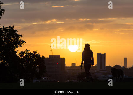 Londra, Regno Unito. Undicesimo Sep, 2017. Londra, 11 settembre 2017. Un dog walker su Primrose Hill come un nuovo giorno si rompe sulla città. Credito: Paolo davey/alamy live news Foto Stock