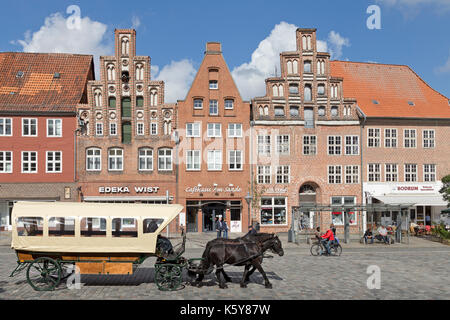 Carrozza a cavalli, Am Sande, Lueneburg, Bassa Sassonia, Germania Foto Stock