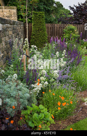 Bella, privato tradizionale, paesaggistico, country Garden, West Yorkshire, Inghilterra, Regno Unito - estate piante fiorite in close-up sul confine erbacee Foto Stock