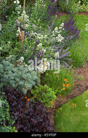 Bella, privato tradizionale, paesaggistico, country Garden, West Yorkshire, Inghilterra, Regno Unito - estate piante fiorite in close-up sul confine erbacee Foto Stock