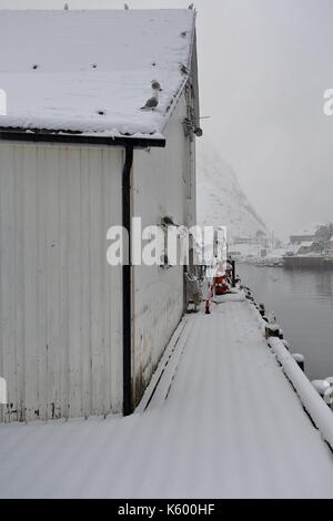 Il Porto bianco storehouse fatto di assi di legno sul Ponte del porto di pesca di pier w.side-gabbiani appollaiato sul davanzale della finestra sotto la neve. hamno Foto Stock