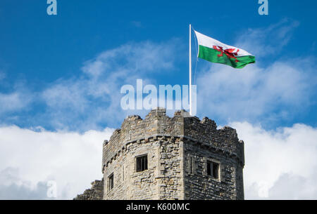 Il Castello di Cardiff,castle,rosso, dragon,bandiera,Cardiff, Cardiff,capitale,Galles,Welsh,città,centro,U.K.,UK,l'Europa,Unione,welsh,cosmopolitan,metro, Foto Stock