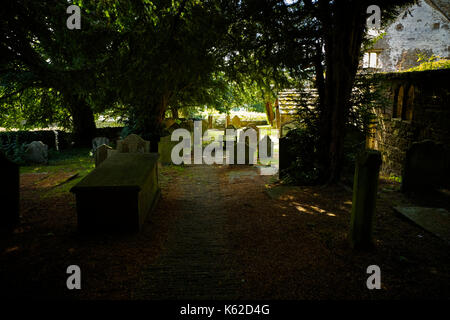 Sotto gli alberi di tasso a St Mary's chiesa abbandonata Pateley Bridge Foto Stock