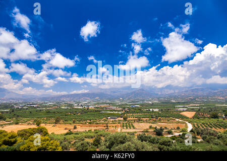 Vista panoramica di estate creta isola greca con piantagioni di olivi e le montagne sullo sfondo Foto Stock