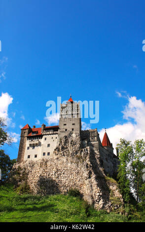 Il castello medievale di crusca (castello di Dracula), brasov, Transilvania, Romania Foto Stock