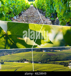 Beaujolais viaggio rettangolare photo collage Foto Stock