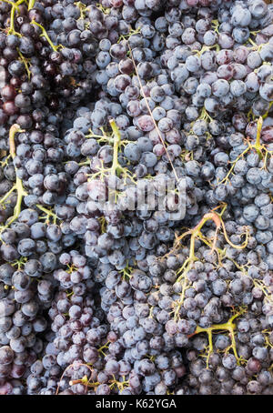 Uva nera su stallo di mercato in Spagna Foto Stock