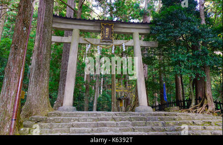 Torii di pietra con il kumano kodo trail, un sentiero sacro in LA NACHI, Wakayama, Giappone. nachi foreste vergini è un luogo di montagna il culto di Dio. Foto Stock