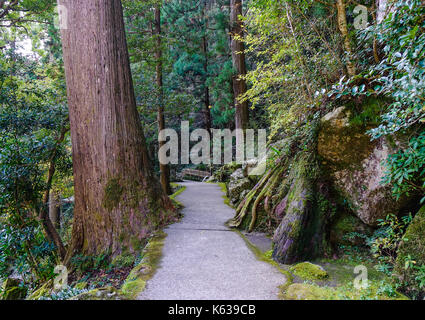 Kumano kodo trail, un sentiero sacro in LA NACHI, Wakayama, Giappone. nachi è parte di yoshino-kumano parco nazionale in wakayama. Foto Stock