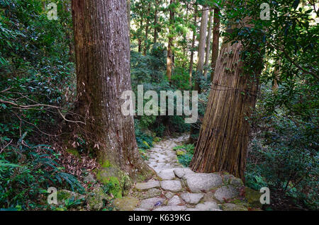 Kumano kodo trail, un sentiero sacro in LA NACHI, Wakayama, Giappone. Foto Stock