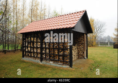 legno, forniture, riscaldamento, legno, riscaldamento, taglio, casa, inverno, deposito, asciugando,legna da ardere, legno per il camino, stagionatura di legno, Foto Stock