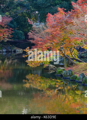 Paesaggio del giardino giapponese in autunno a Nara, Kansai, Giappone. alberi di acero con lo stagno nel Parco di Nara. Foto Stock