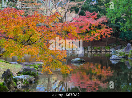 Paesaggio del giardino giapponese in autunno a Nara, Kansai, Giappone. alberi di acero, rocce e stagno. Foto Stock