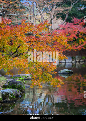 Paesaggio del giardino giapponese in autunno a Nara, Kansai, Giappone. alberi di acero, rocce e stagno. Foto Stock