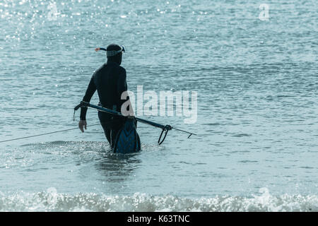 Sommozzatore in piena muta andando non identificato la pesca subacquea da beach ocean voce. Foto Stock