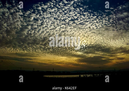 Puffy tipo cotone cumulus nuvole al tramonto Foto Stock