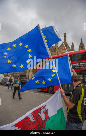 College Green, Westminster, London, Regno Unito. Undicesimo Sep, 2017. Welsh solitaria pro-UE mosche attivista del Galles e della bandiera UE in gusty meteo di fronte alla sede del Parlamento. Credito: Malcolm Park/Alamy Live News. Foto Stock