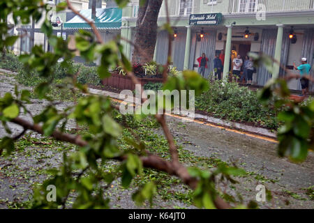 Fort Lauderdale, FL, Stati Uniti d'America. Decimo Sep, 2017. Le persone scattano foto al di fuori del riverside hotel nel centro di Fort Lauderdale con alberi abbattuti a copertura Las Olas blvd. come uragano irma continua a pastella Florida del sud domenica, sept. 10, 2017. amy beth Bennett, sun sentinel credito: sun-sentinel/zuma filo/alamy live news Foto Stock