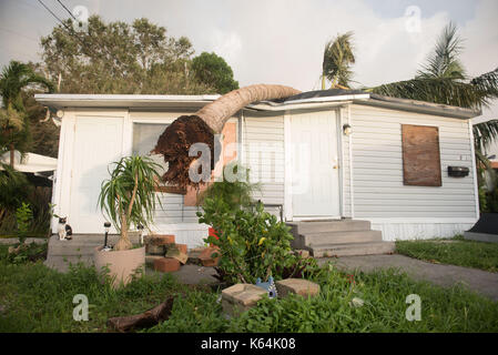 Dania Beach, Florida, Stati Uniti d'America. Undicesimo Sep, 2017. una casa mobile di Dania Beach è danneggiato da un albero colpito da forti venti di uragano irma. Credito: orit ben-ezzer/zuma filo/alamy live news Foto Stock