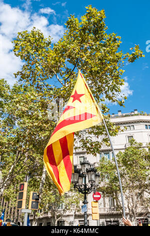 Barcellona, Spagna. Undicesimo Sep, 2017. Migliaia di pro-indipendenza bandiere (estelades) riempire le strade di Barcellona, in Catalogna giornata nazionale. Credito: lophius/Alamy Live News Foto Stock
