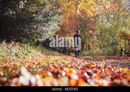 Uomo maturo in autunno correre nei boschi controlli Tracker di attività Foto Stock