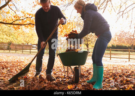 Coppia matura a rastrellare foglie di autunno in giardino Foto Stock