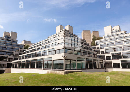 Uno degli studenti blocco residenziale, progettato da denys lasdun, uno dei molti sul campus dell'Università di East Anglia, Norwich, Regno Unito. Foto Stock