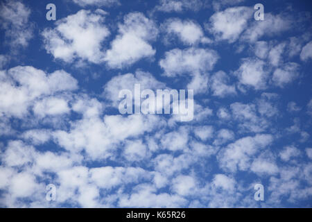 Cirrocumulus, lanosa nuvole e nuvole di un cattivo tempo anteriore, Austria Foto Stock