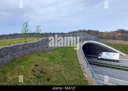 Ponte della fauna selvatica / animali cavalcavia / wildlife crossing / ecoduct oltre il collegamento autostradale tra habitat animali e di evitare collisioni con veicoli Foto Stock